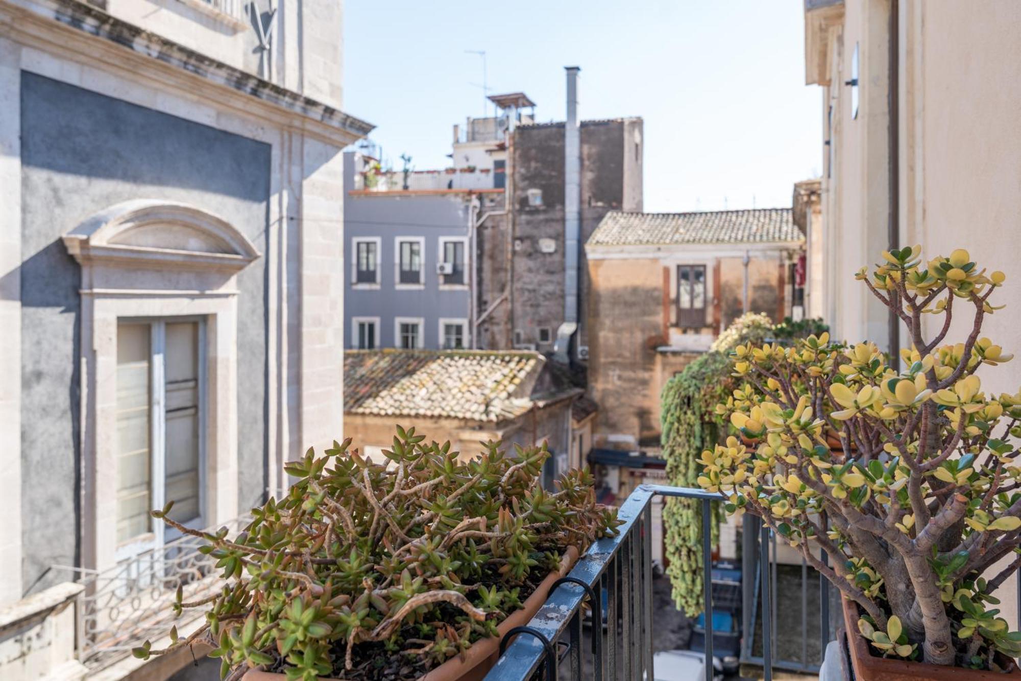קטאניה Amenano Apartments מראה חיצוני תמונה